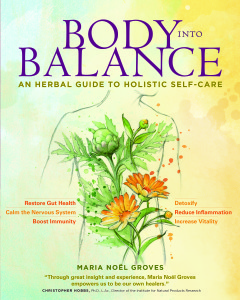 BodyIntoBalance.Cover