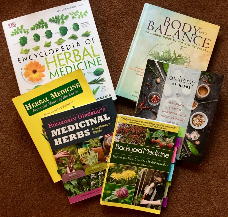 Recommended Reading – Wintergreen Botanicals & Maria Noel Groves ...